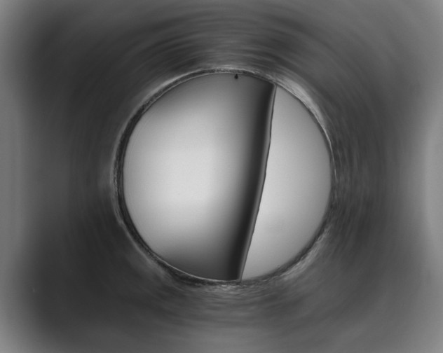X0000089931141200706290750