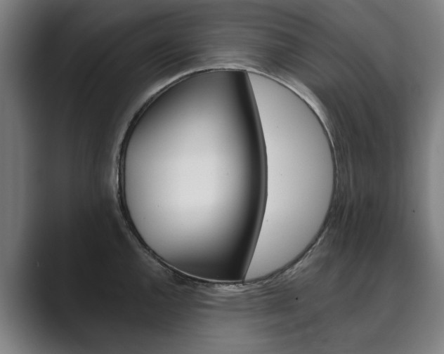 X0000089931144200706290750