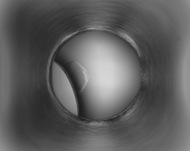 X0000089931146200706290750