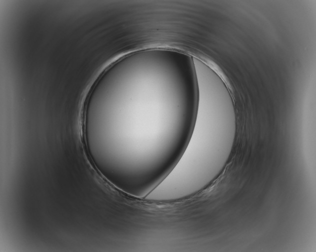 X0000089931148200706290750