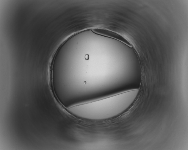 X0000089931151200706290750