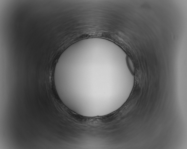 X0000089931154200706290749