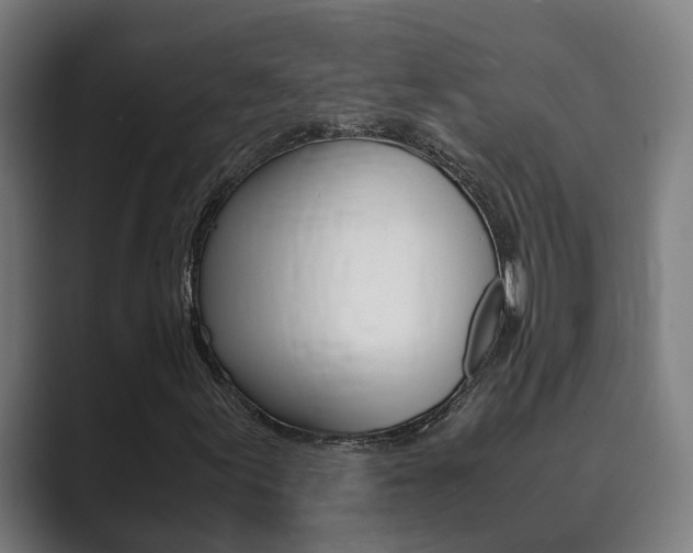 X0000089931155200706290749