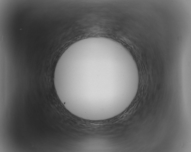 X0000089931157200706290749
