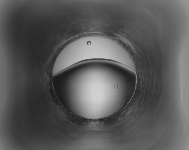 X0000089931160200706290749