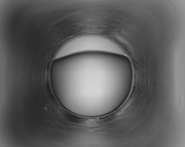 X0000089931161200706290749