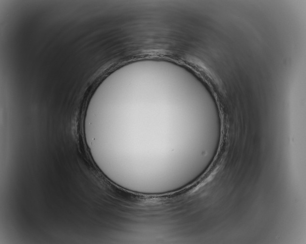 X0000089931162200706290749