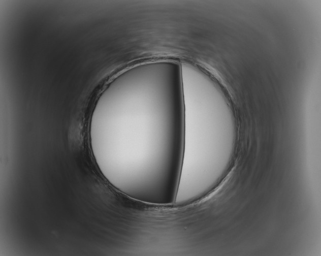 X0000089931163200706290749