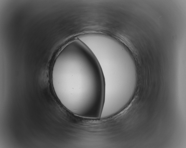 X0000089931164200706290749