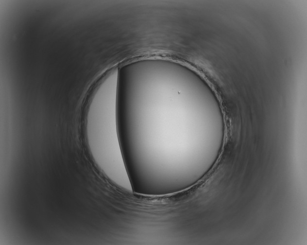 X0000089931165200706290749