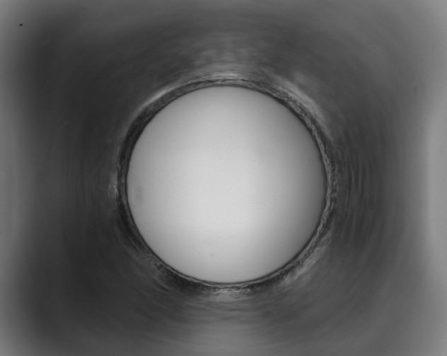 X0000089931166200706290749