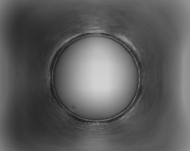 X0000089931167200706290749