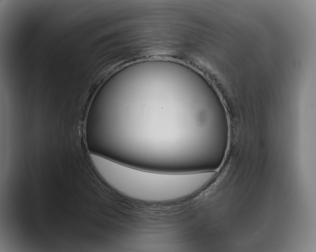 X0000089931169200706290749