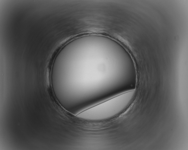 X0000089931171200706290749