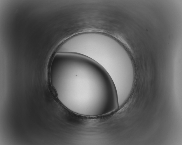X0000089931173200706290749