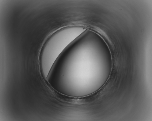 X0000089931176200706290749