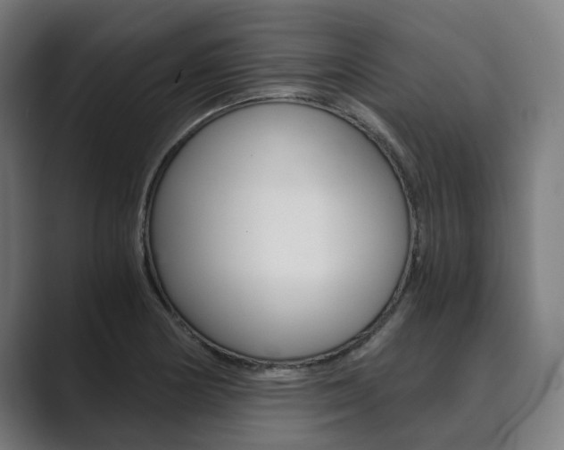 X0000089931178200706290749