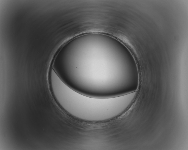 X0000089931181200706290749