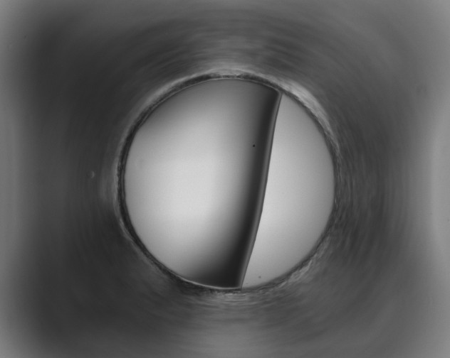 X0000089931183200706290749