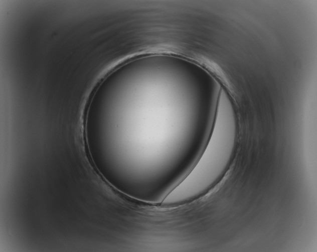 X0000089931184200706290749