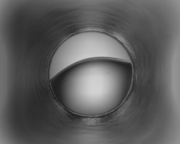 X0000089931185200706290749