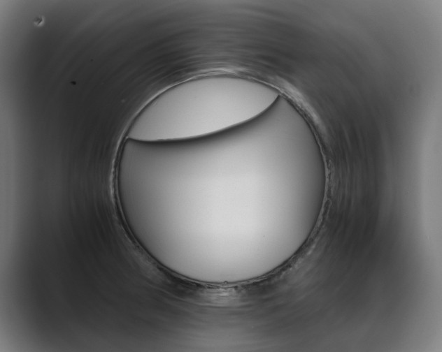 X0000089931186200706290749