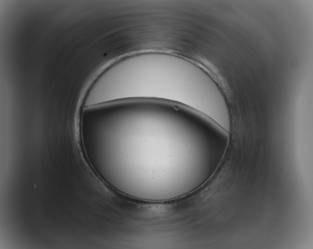 X0000089931188200706290749