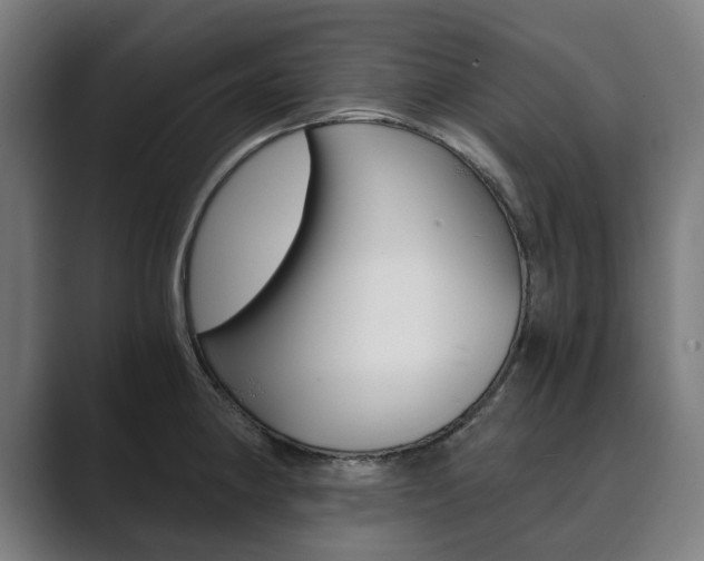 X0000089931190200706290749