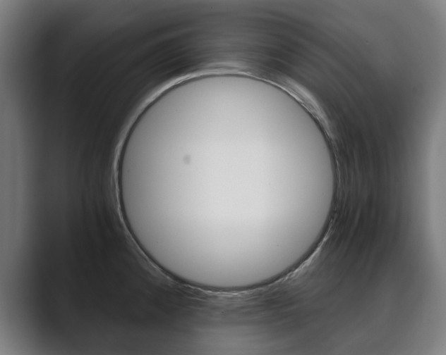 X0000089931192200706290749