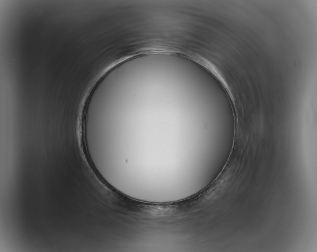 X0000089931195200706290749