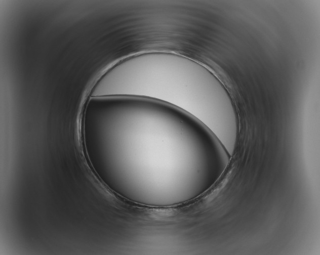 X0000089931196200706290749