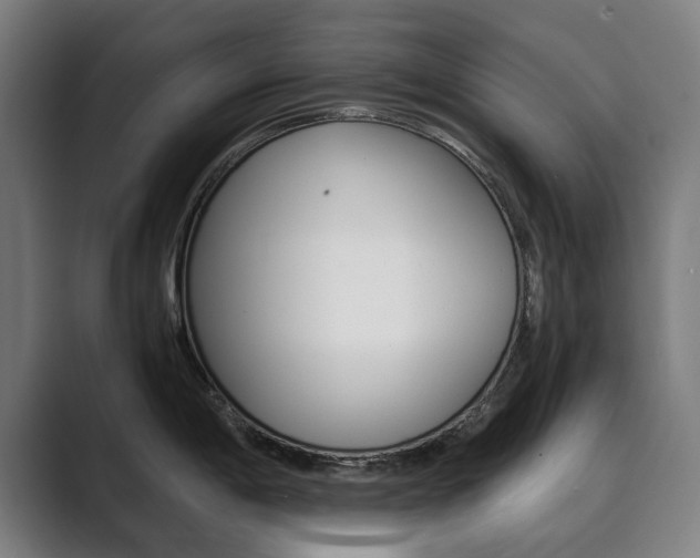 X0000089931198200706290749