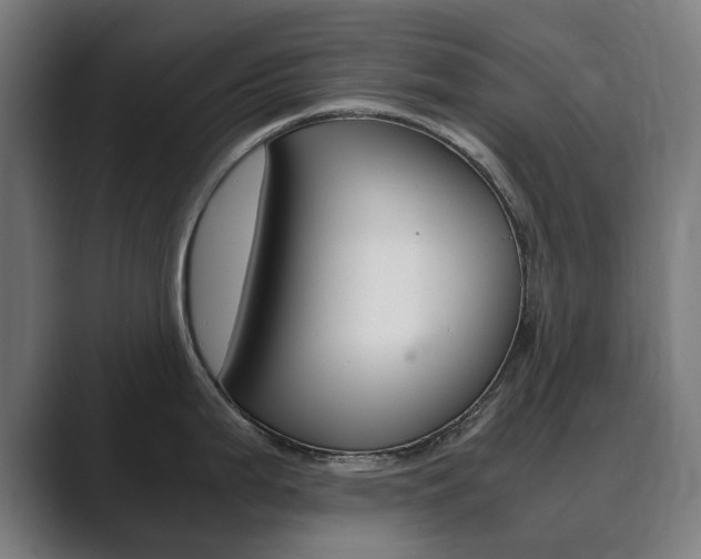 X0000089931199200706290749