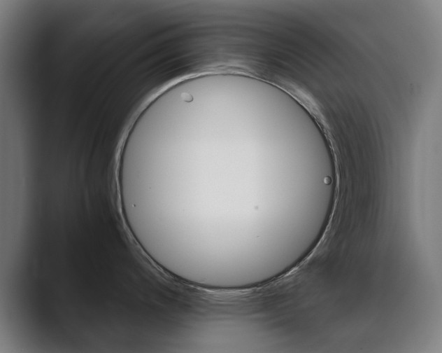X0000089931200200706290749