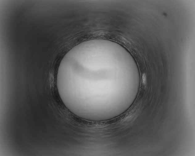 X0000089931203200706290748