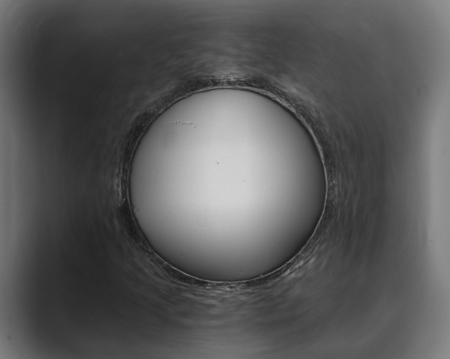 X0000089931205200706290748