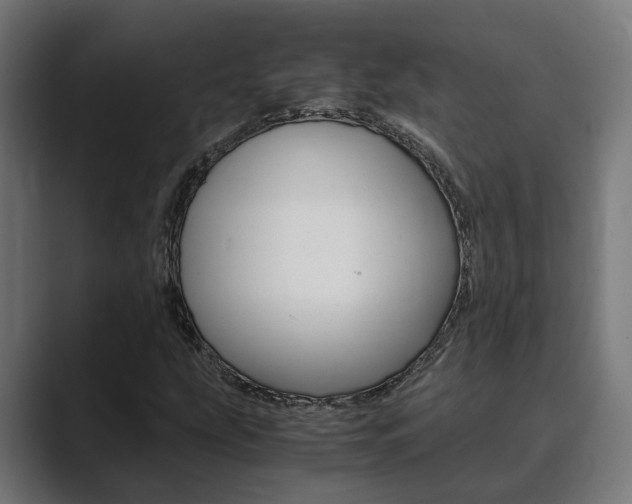 X0000089931207200706290748