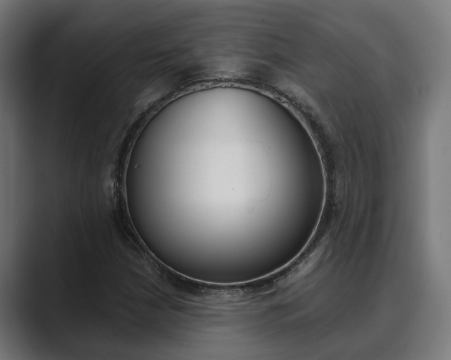 X0000089931210200706290748