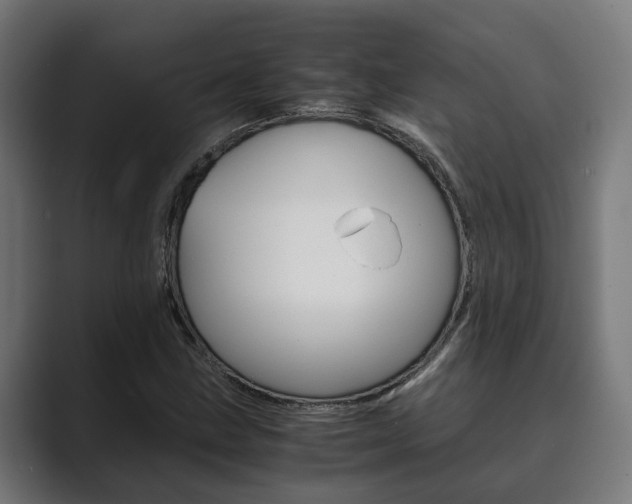 X0000089931211200706290748