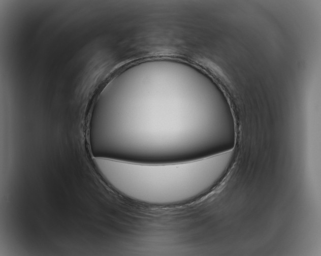 X0000089931212200706290748