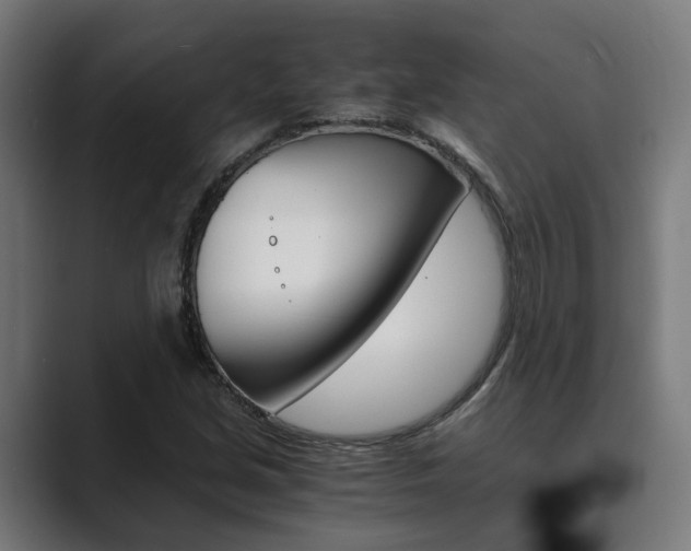 X0000089931213200706290748