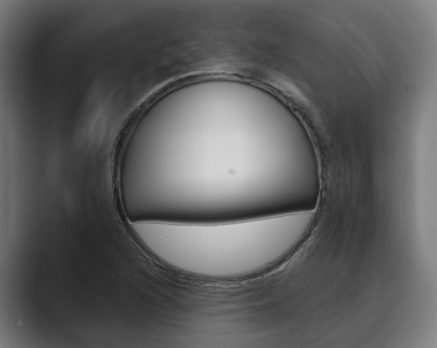 X0000089931216200706290748