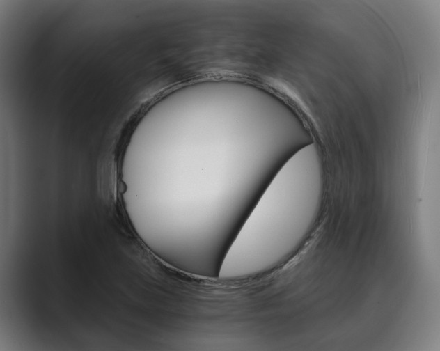 X0000089931219200706290748