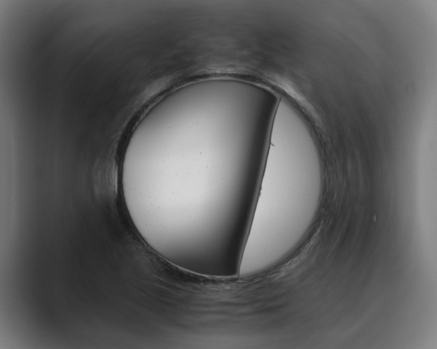 X0000089931221200706290748