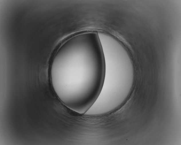 X0000089931222200706290748