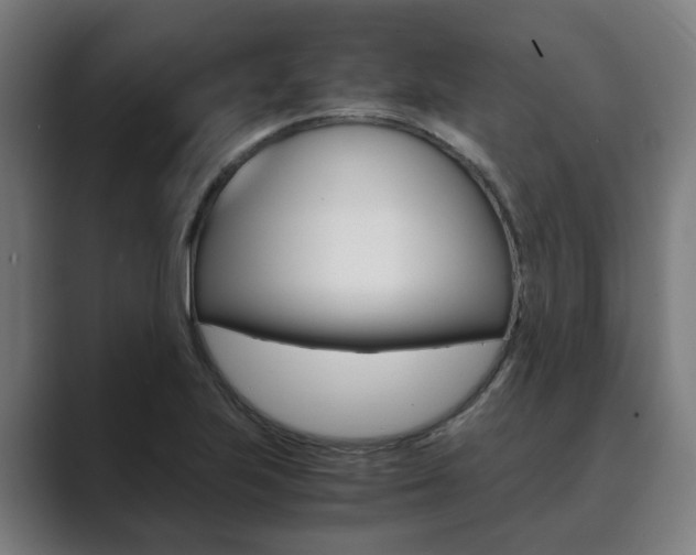 X0000089931223200706290748