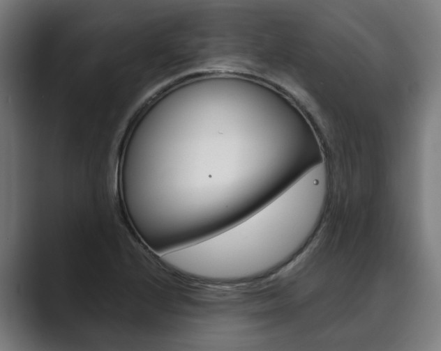 X0000089931224200706290748