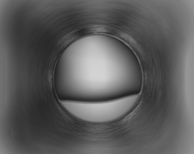 X0000089931225200706290748