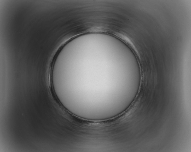 X0000089931227200706290748