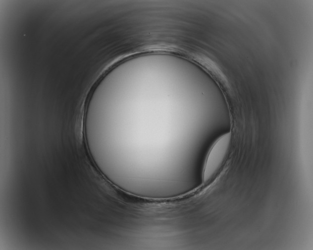 X0000089931228200706290748